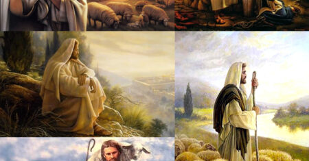 O SENHOR JESUS É O ÚNICO PASTOR